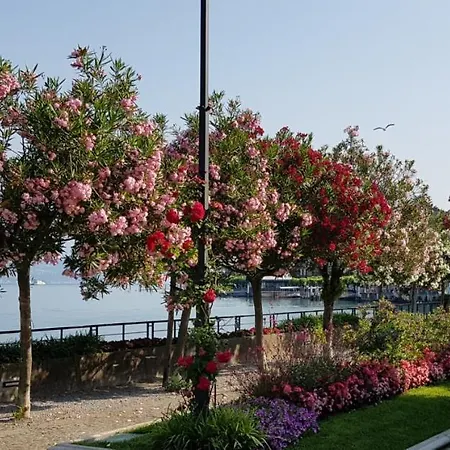 Casavalery Monolocale Con Vista *