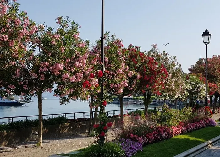 Casavalery Monolocale Con Vista *